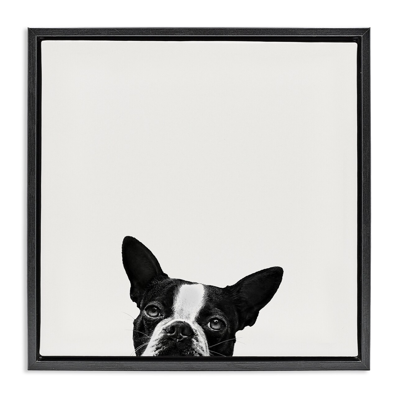 Stupell Industries Dog Peeking From Below Framed Floater Canvas Wall Art